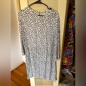 Zara “The Dress”